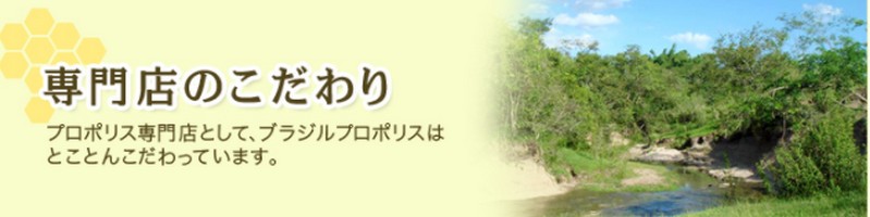 �u���W���v���|���X���T�C�g